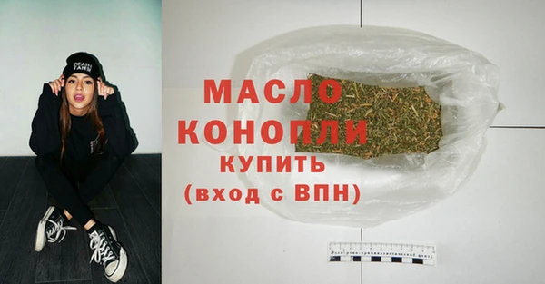 гидра Богородск