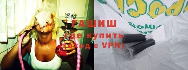 гидра Богородск