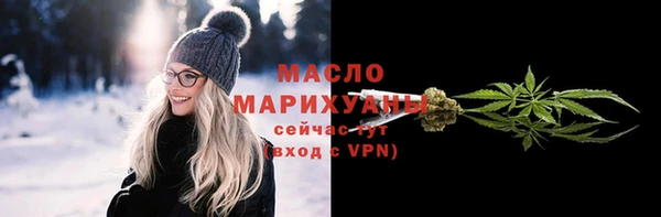 гидра Богородск