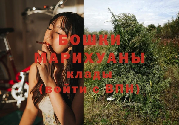 сатива Белокуриха
