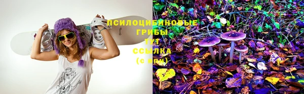 хмурый Богданович