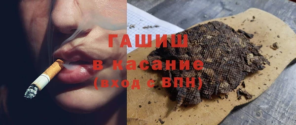 гидра Богородск